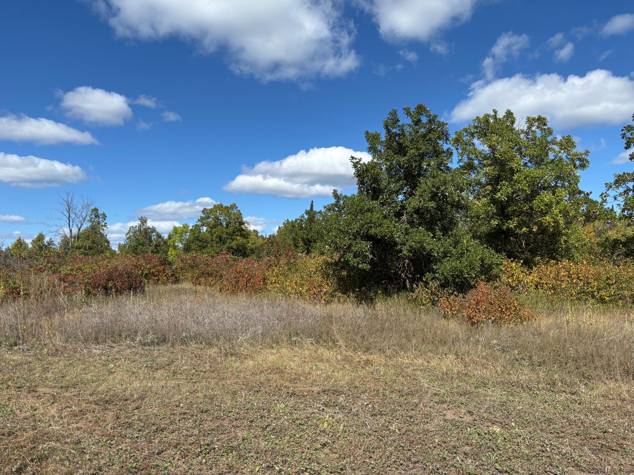 Back Of Property