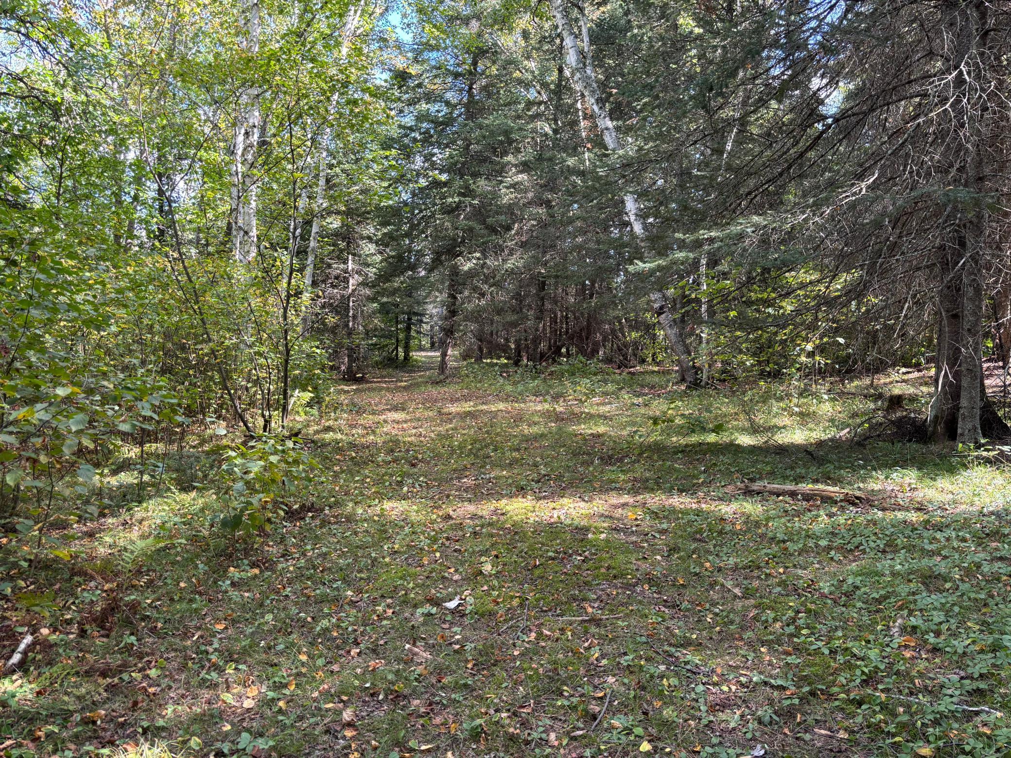 Path Near Creek