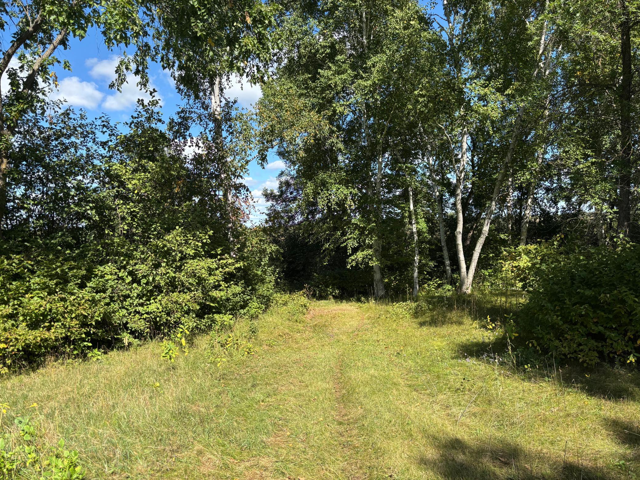 Path Near Creek