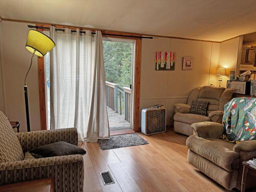 Patio door to the back deck