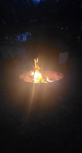 Campfire at night