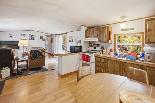 24771 Swede Road, Webster, WI 54893