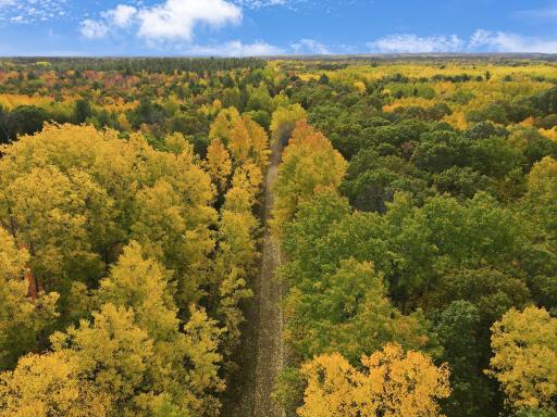 24771 Swede Road, Webster, WI 54893