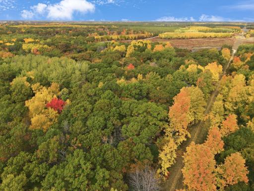 24771 Swede Road, Webster, WI 54893