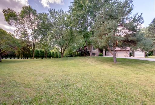 Photo 52