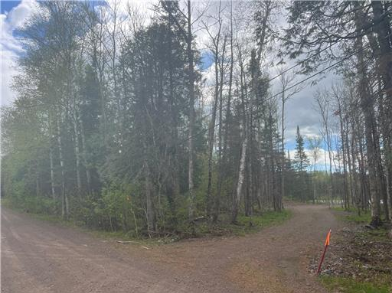7863 E Briar Lake Drive, Duluth, MN 55803