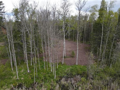7863 E Briar Lake Drive, Duluth, MN 55803