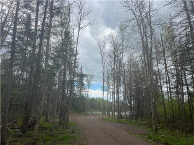 7863 E Briar Lake Drive, Duluth, MN 55803