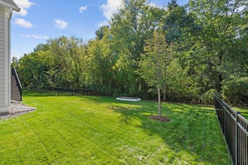 Spacious, wooded backyard.