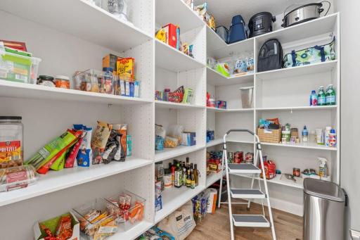 Giant, walk-in pantry!