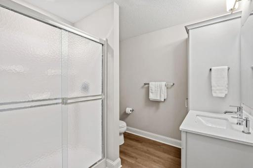 Lower level bath.