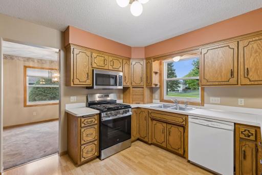 9119 Nantwick Ridge, Brooklyn Park, MN 55443