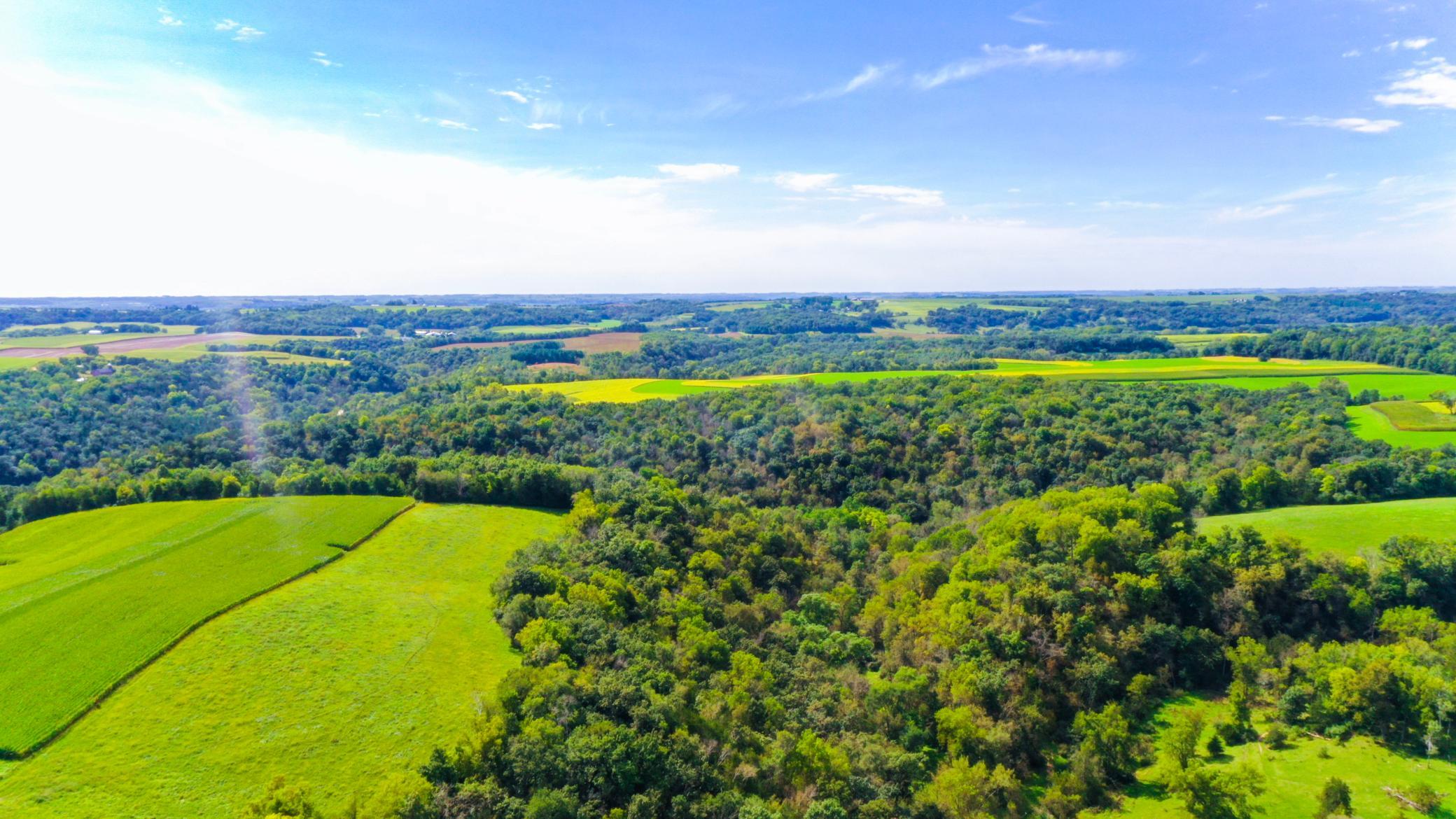 DJI_0347.jpg