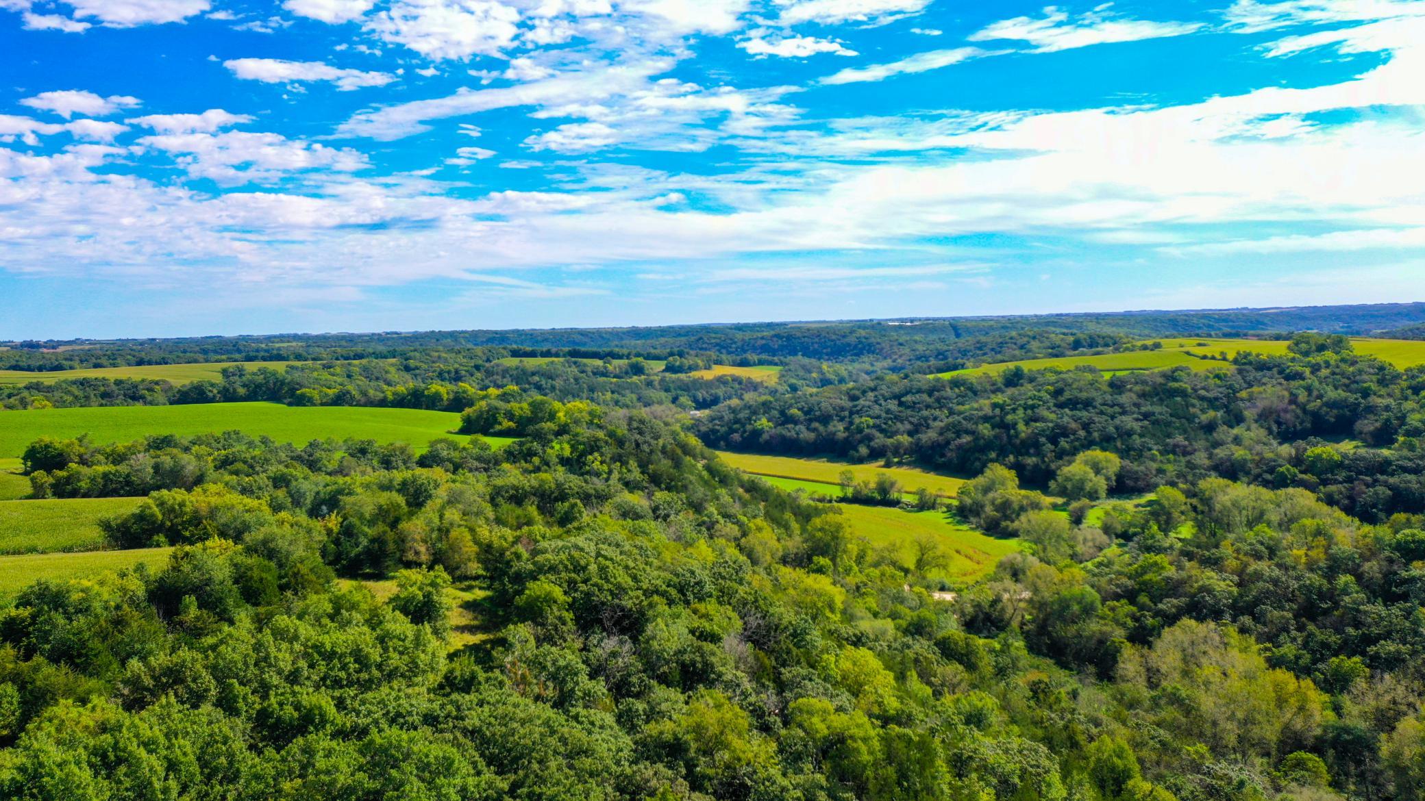DJI_0338.jpg