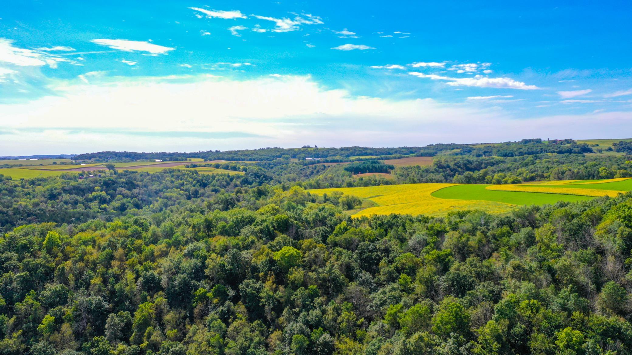DJI_0339.jpg