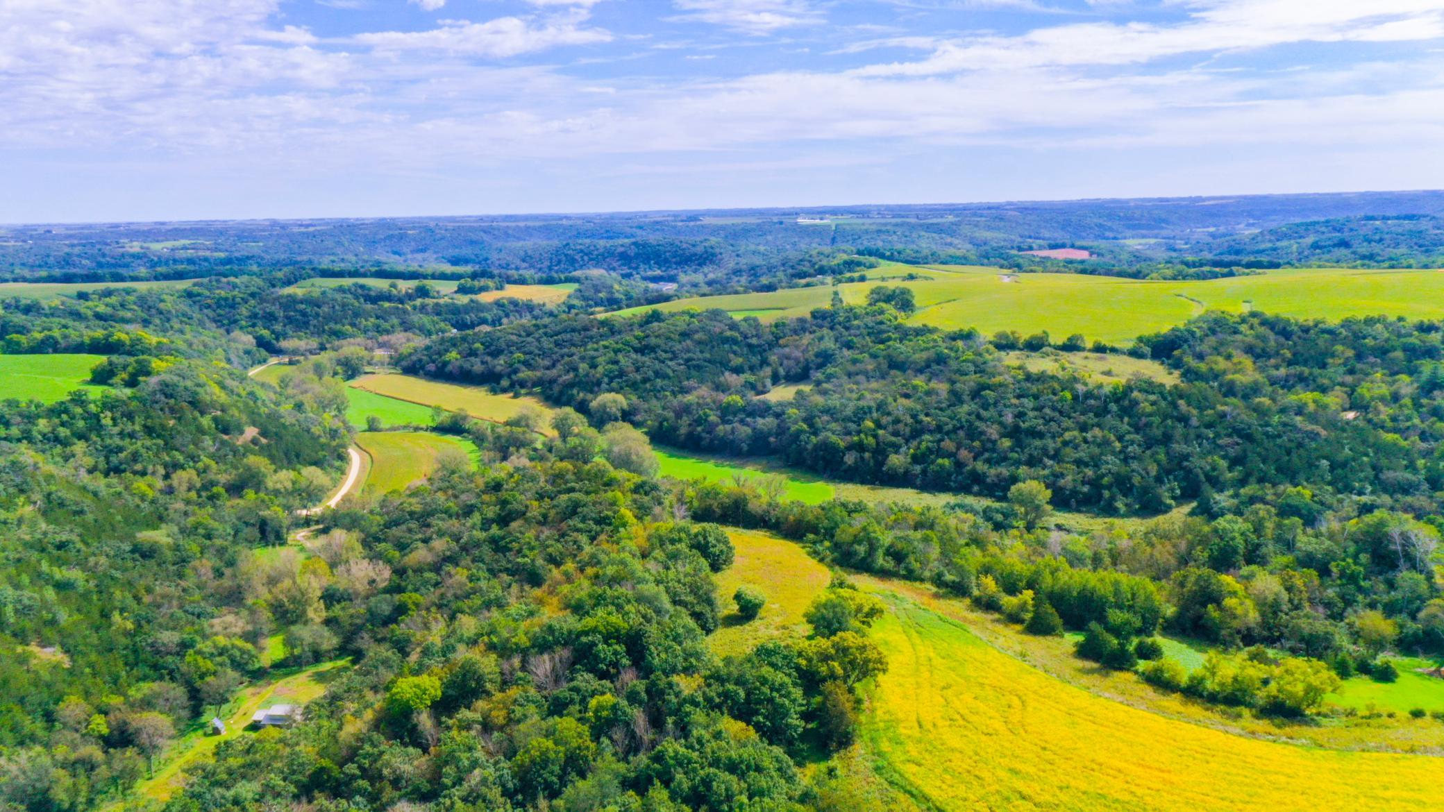 DJI_0349.jpg