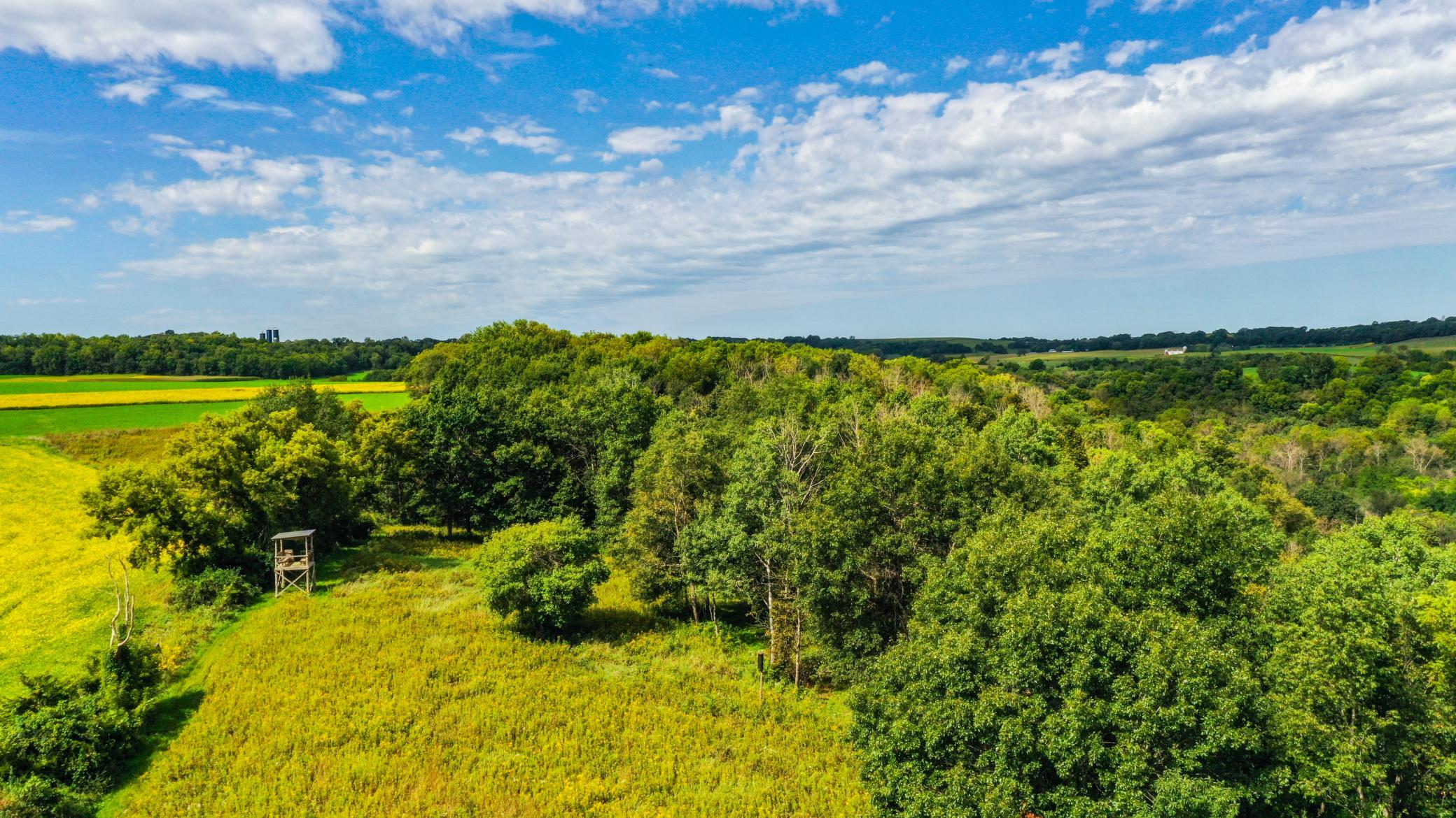 DJI_0007 (1).jpg