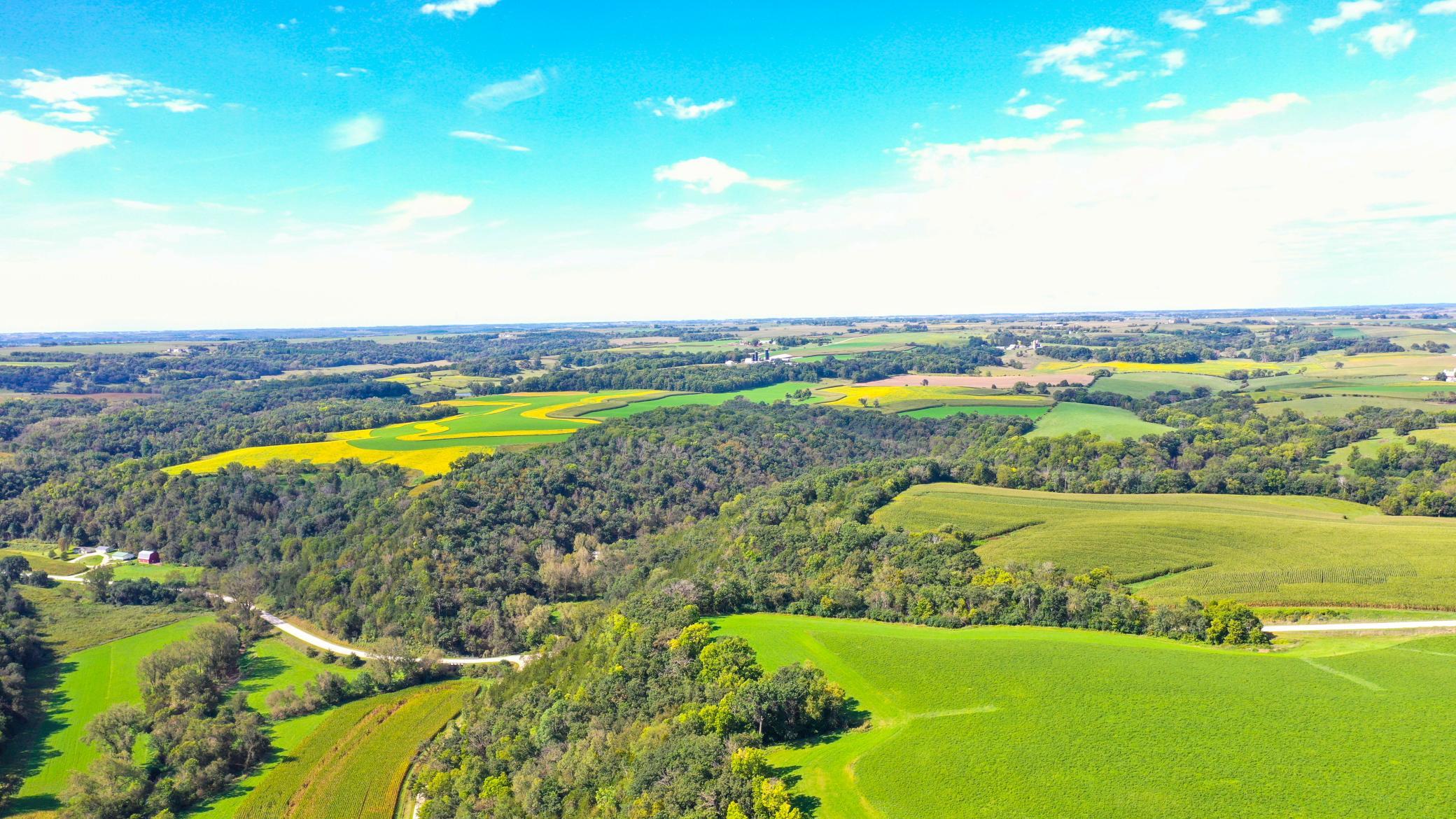 DJI_0328.jpg