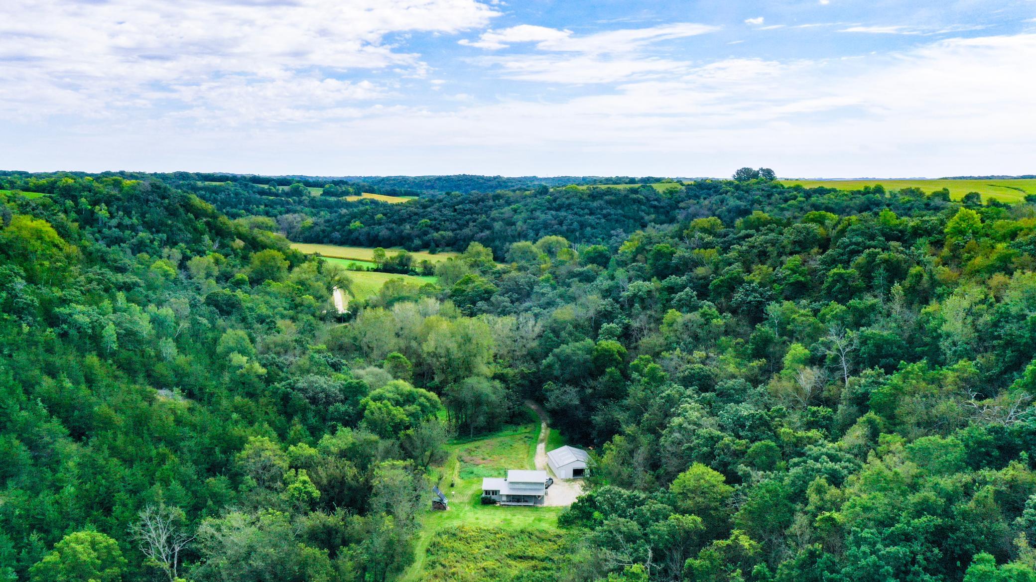 DJI_0012 (1).jpg