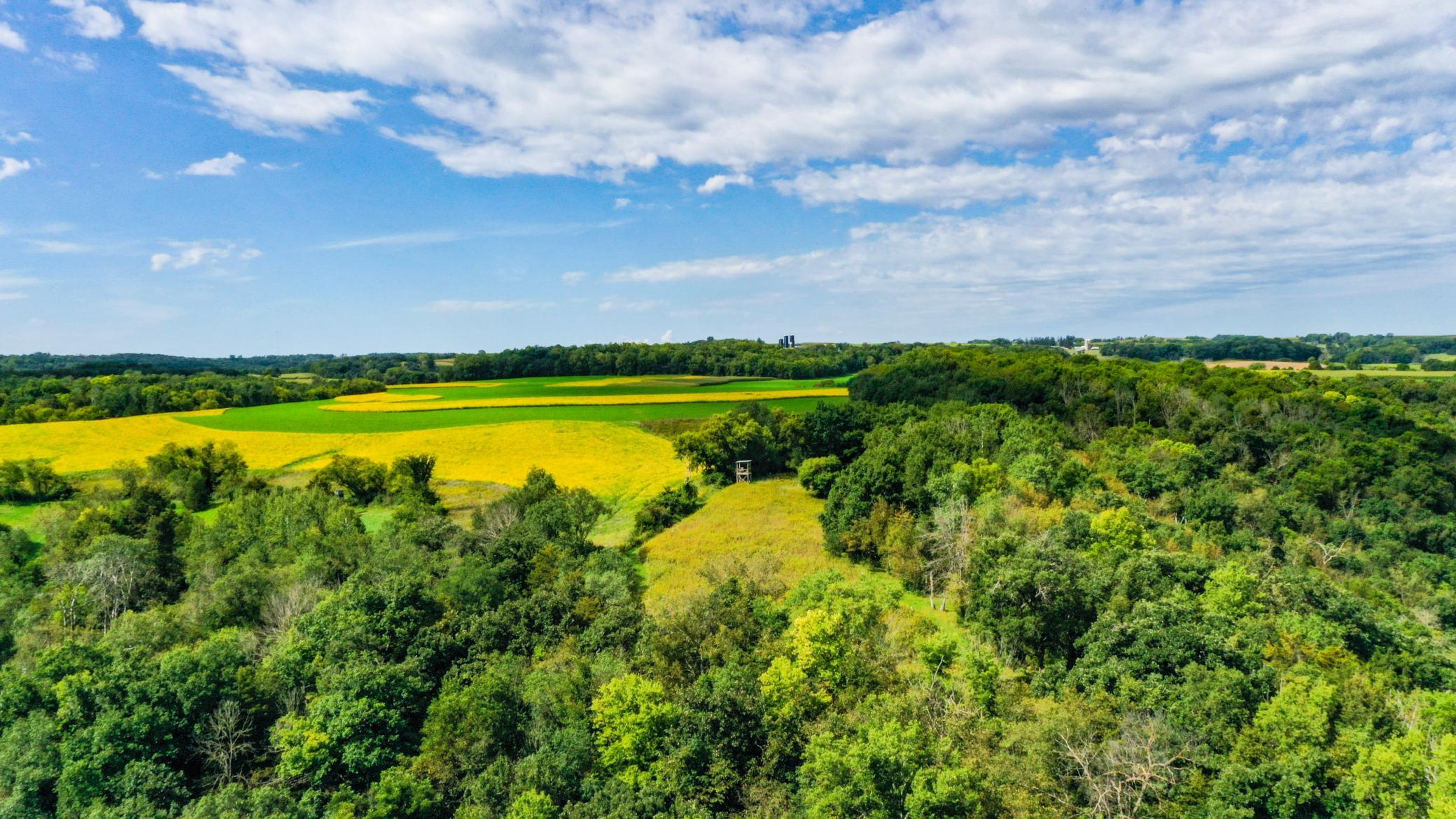 DJI_0353.jpg