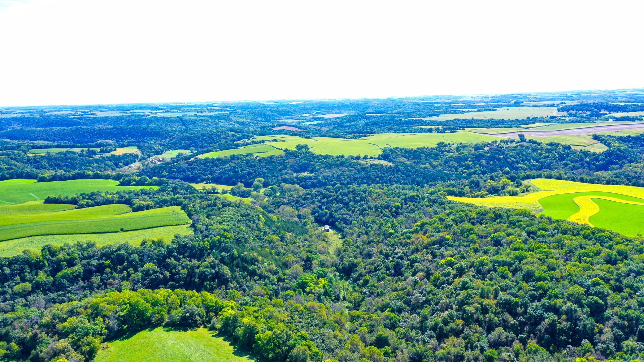 DJI_0334.jpg