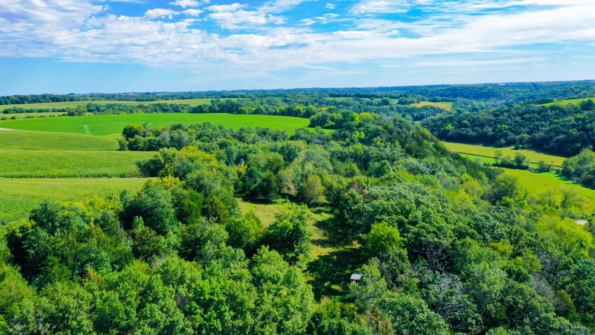 DJI_0340.jpg