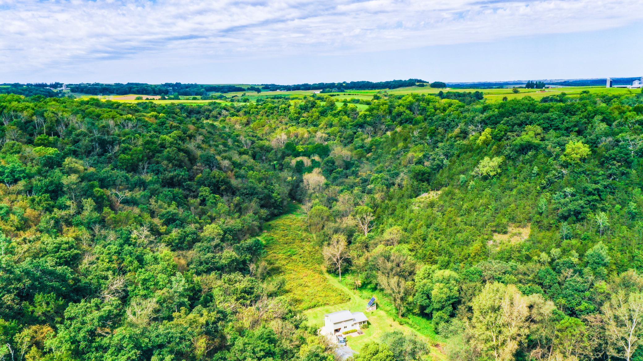 DJI_0008.jpg