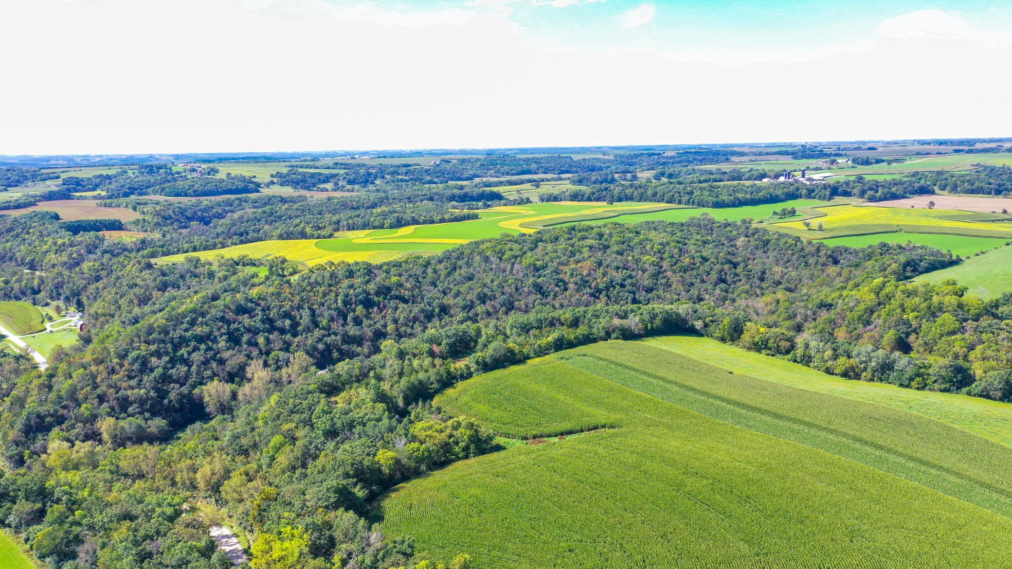 DJI_0326.jpg