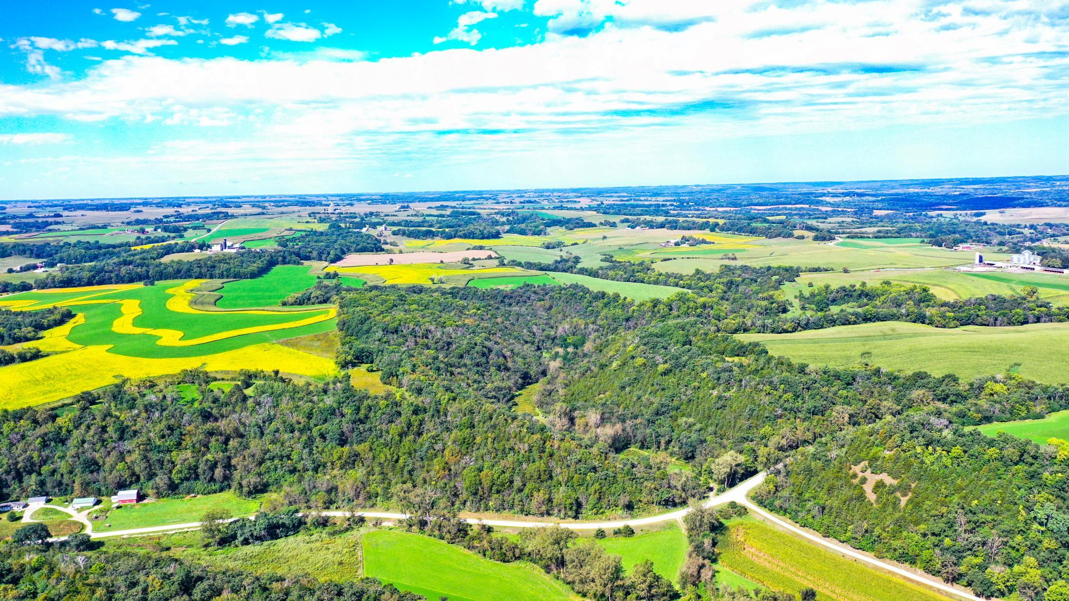 DJI_0331 (1).jpg