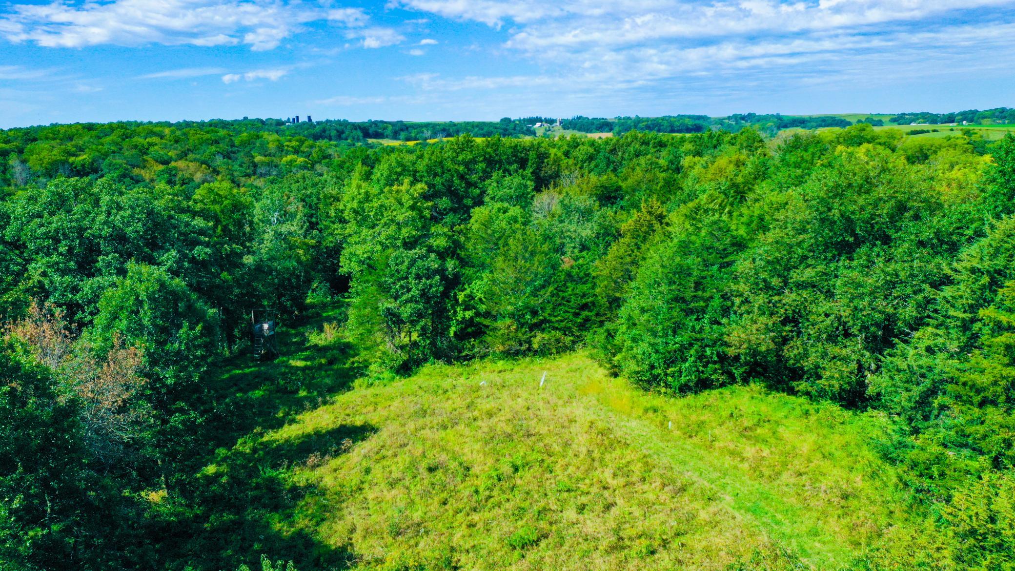DJI_0342.jpg