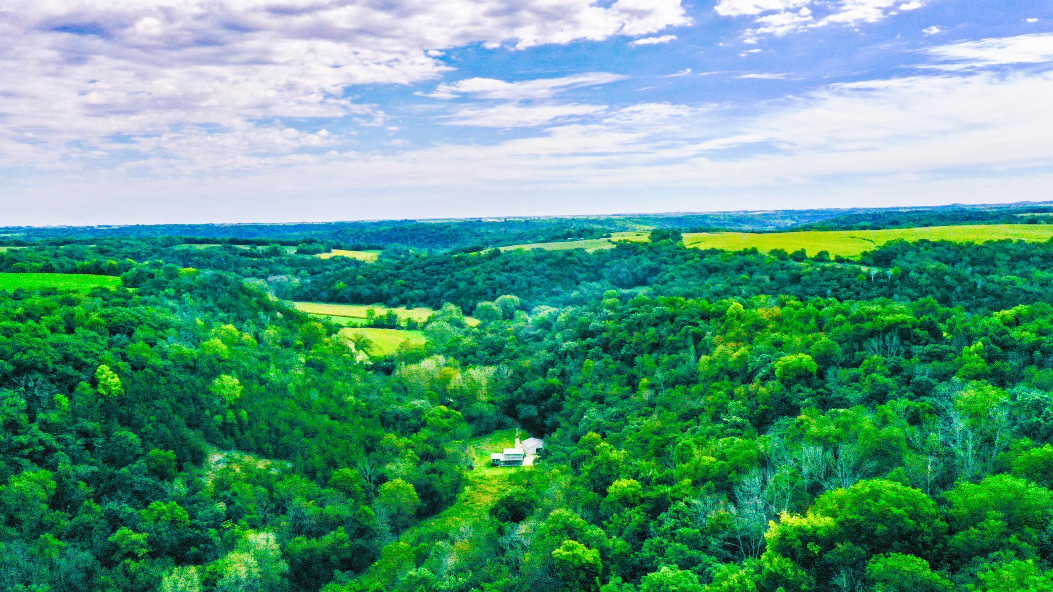 DJI_0013 (1).jpg