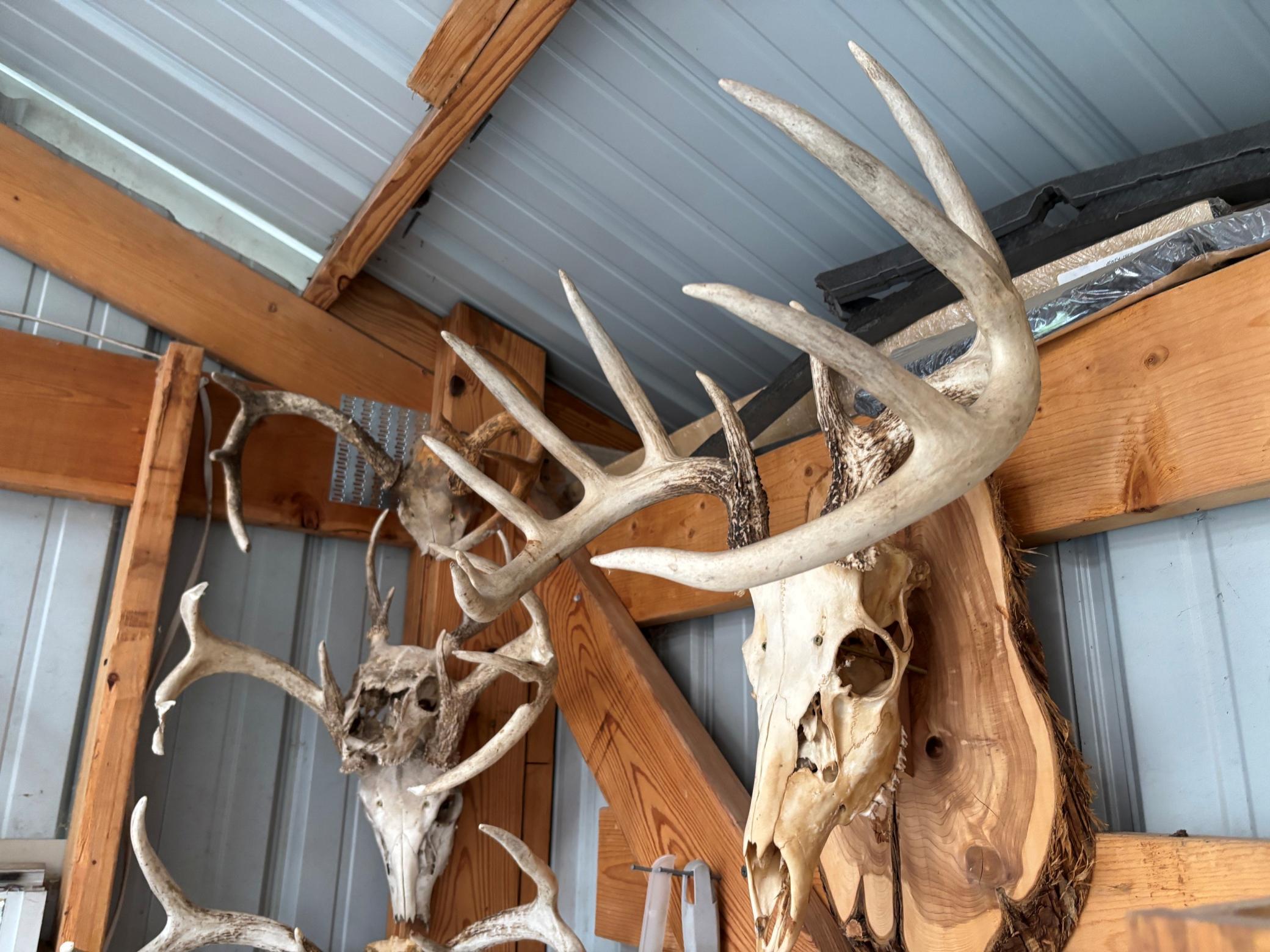 racks 3.jpg