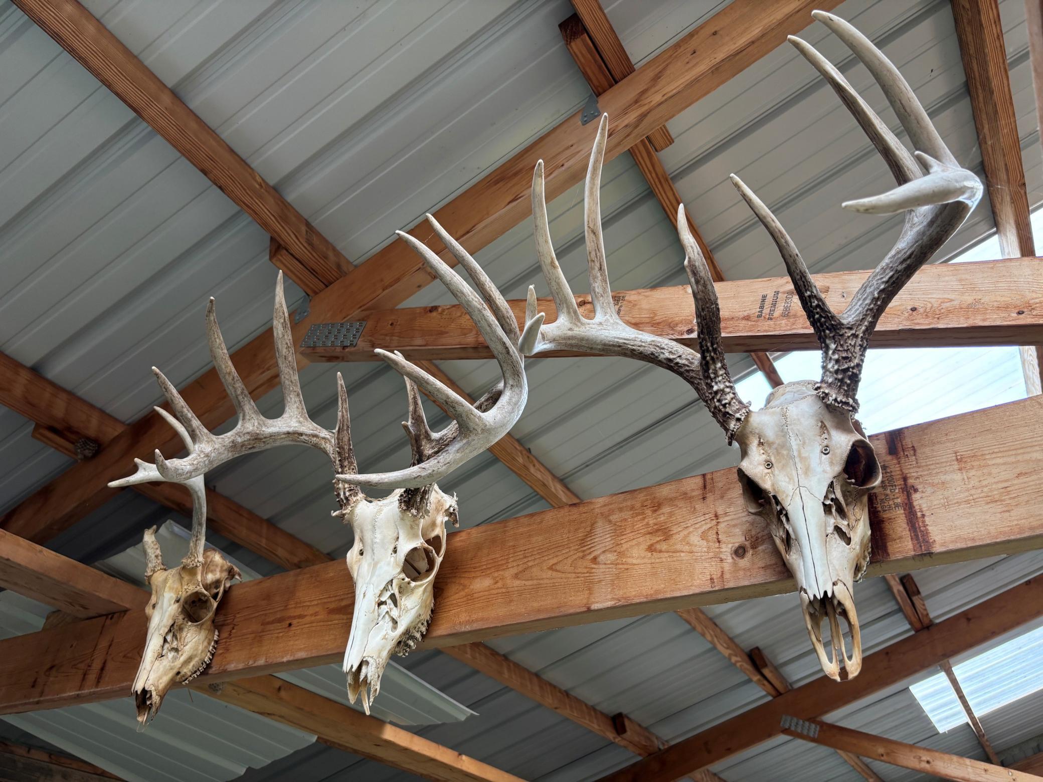 racks 1.jpg