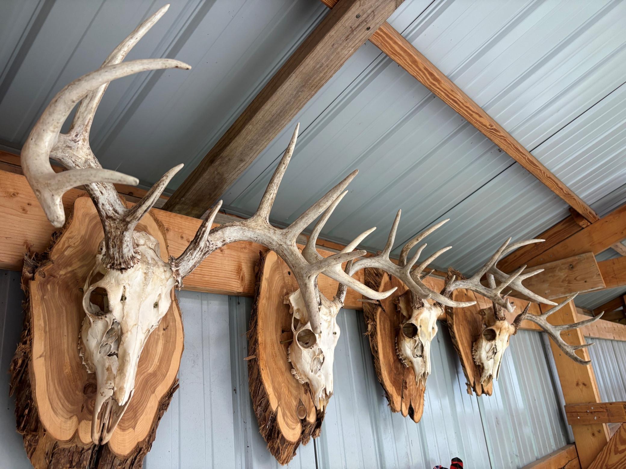 racks 2.jpg