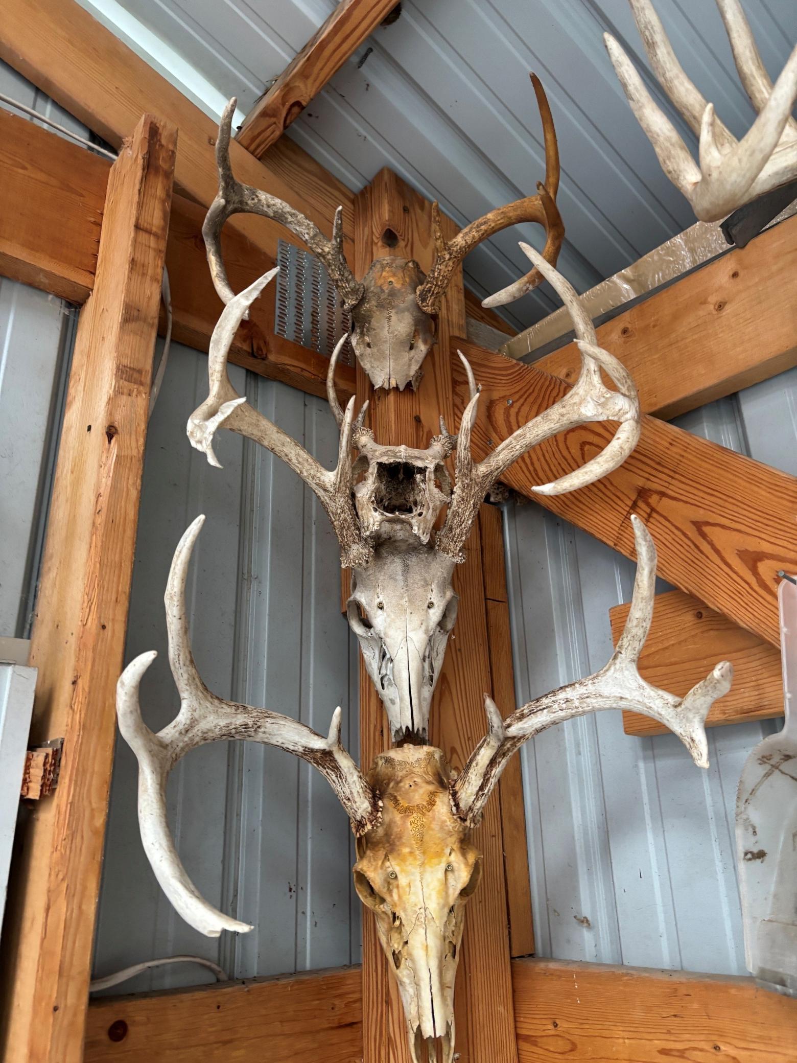 racks 4.jpg