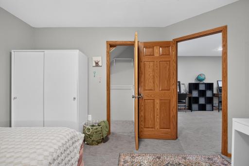 Another view of the 5th non-conforming bedroom in the lower level with closet space.