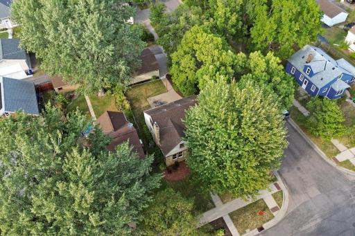 Great tree coverage