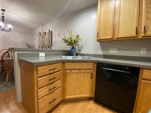 6447 Lakota Trail, Lino Lakes, MN 55014