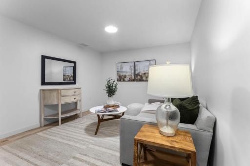 Family room, lower level