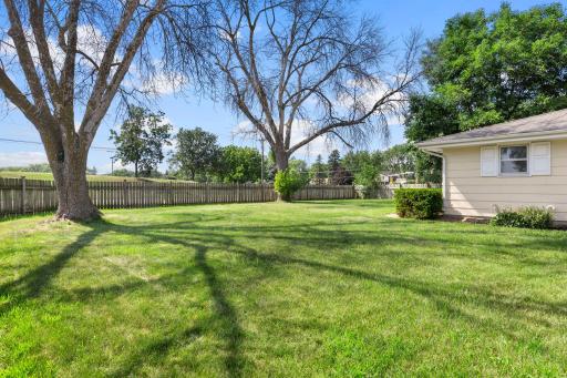 Fenced yard