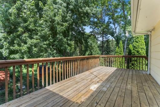 View of trees from deck