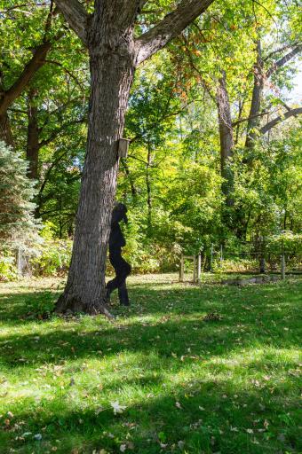 Another view of the large private fenced backyard.