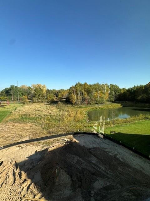Rear Exterior Pond/Wetland Views
