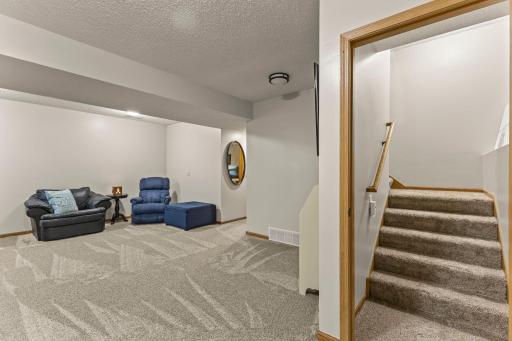 Finished lower level family room