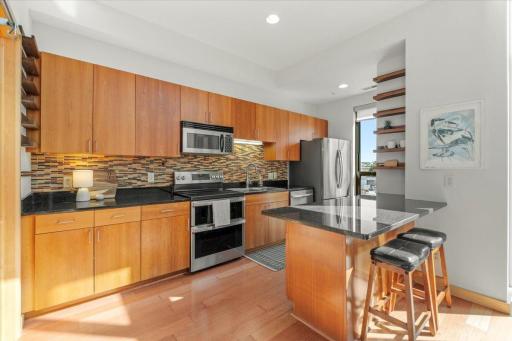 9 W Franklin Avenue, 314, Minneapolis, MN 55404