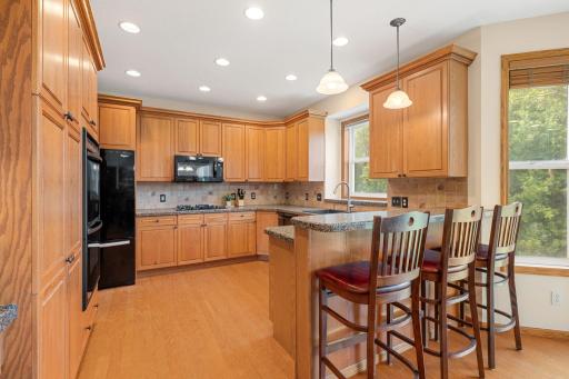 16381 Gunflint Trail, Lakeville, MN 55044