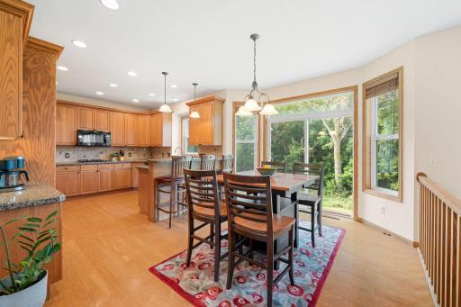 16381 Gunflint Trail, Lakeville, MN 55044