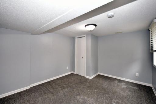 Another view of the lower level bedroom.