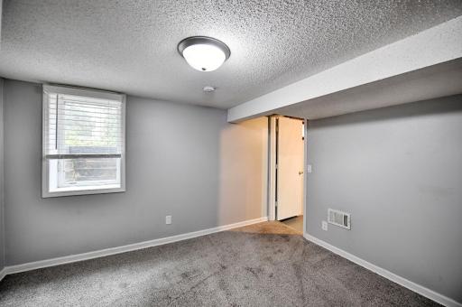 Lower level finished bedroom with egress window.