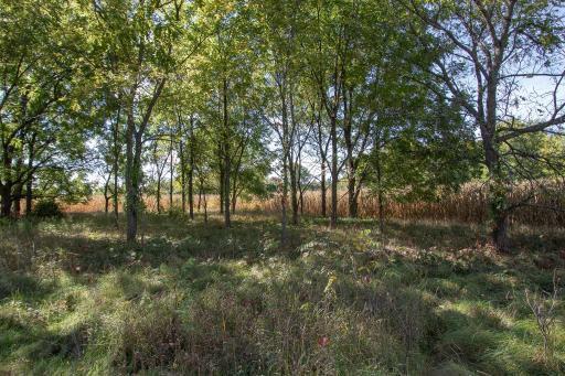 617 Central Drive E, Braham, MN 55006